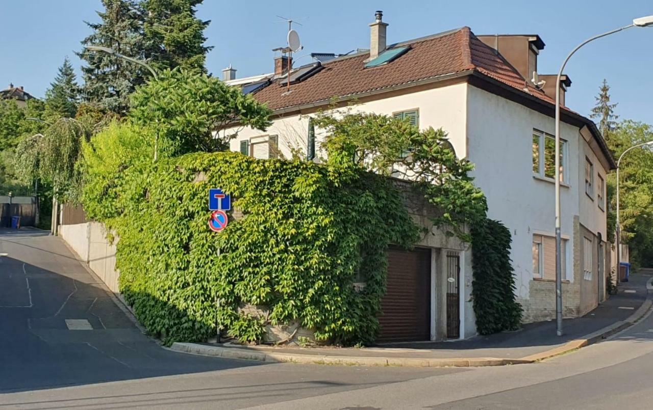 Kempf Nähe Uniklinik
